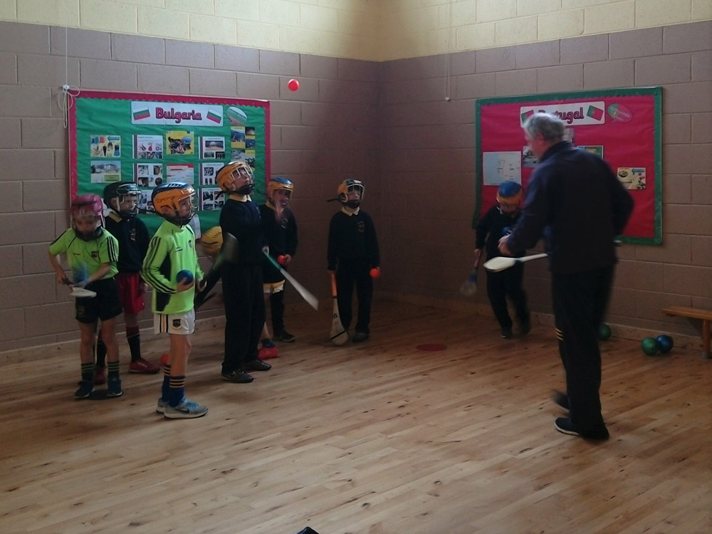 hurling-training